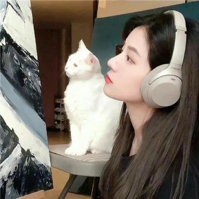 会计师2